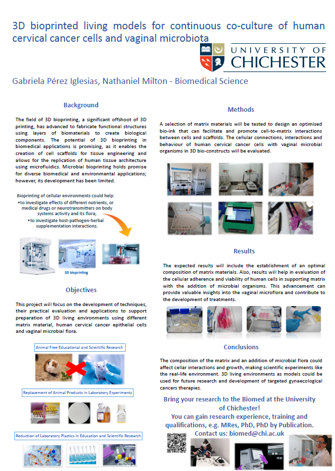 3D Bioprinted Culture, Perez Iglesias, G., Milton, N. Thumbnail